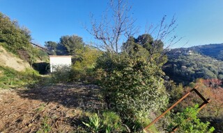 Photo N° 4