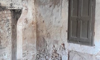 Photo N° 5