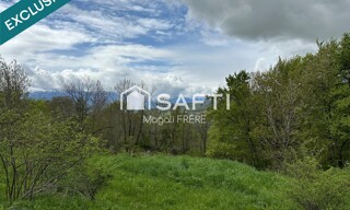 Photo N° 6