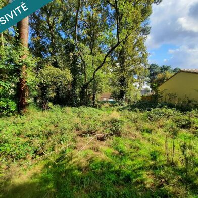 Terrain  110000 €