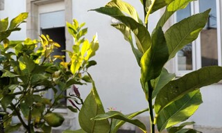 Photo N° 2