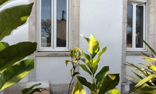 Photo N° 6