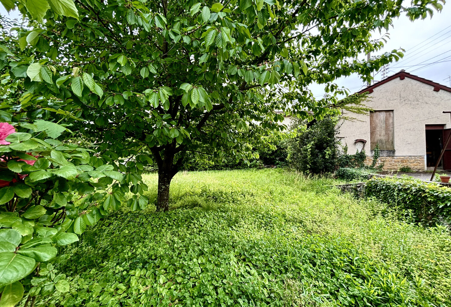 Terrain de 454 m2 sur Collonges ! — photo 1