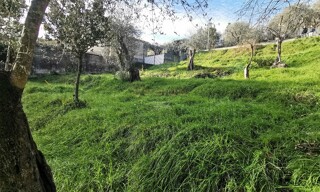 Terrain  608 m² à vendre à Contes (06390)