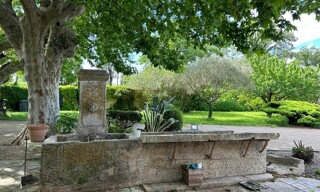 Photo N° 6