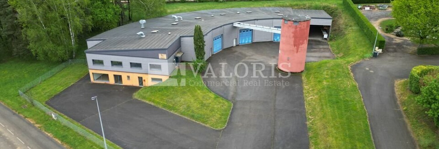 Commerce  1747 m² à louer à Ceyzériat (01250)