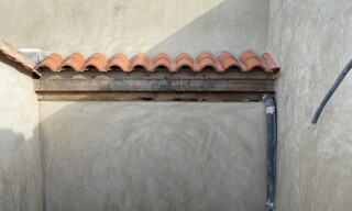Photo N° 6