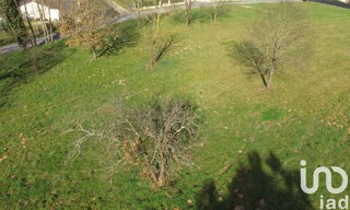 Photo N° 5