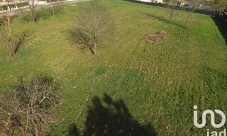 Photo N° 6