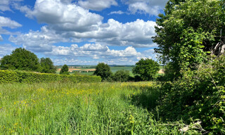 Terrain  2565 m² à vendre à Fontenoy (89520)