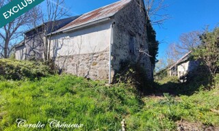 Photo N° 6