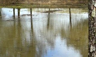 Photo N° 5