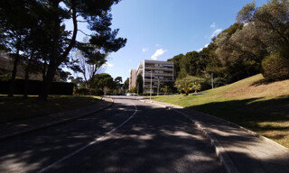 Photo N° 6