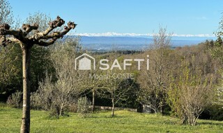 Photo N° 5