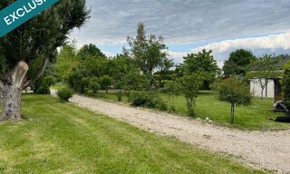 Photo N° 4