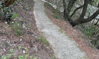 Photo N° 3