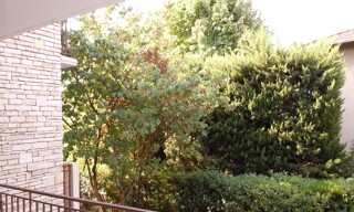Photo N° 8