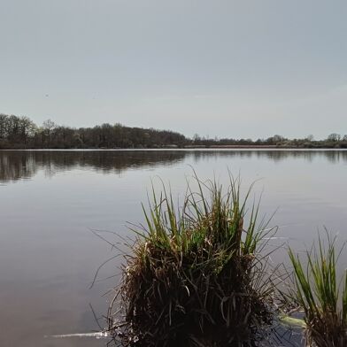 Maison 5 pièces 1030000 €