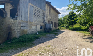 Photo N° 6