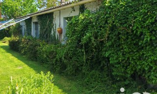 Photo N° 5