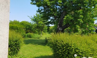 Photo N° 7