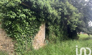 Photo N° 4