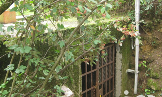 Photo N° 5