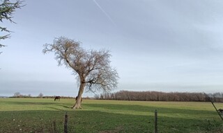 Photo N° 2