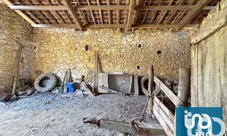 Photo N° 6