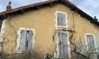 Photo N° 5
