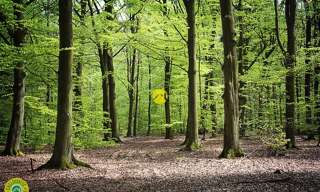 Maison 1 Pièce  m² à vendre à Saint-Martin-sous-Vigouroux (15230)