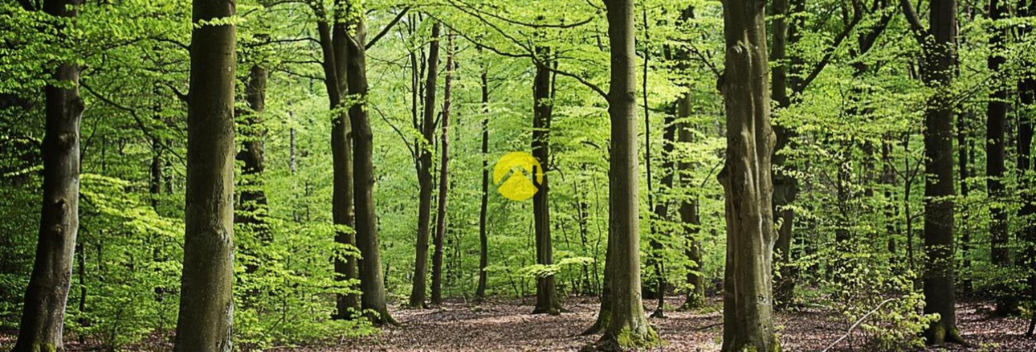 Maison 1 Pièce  m² à vendre à Saint-Martin-sous-Vigouroux (15230)