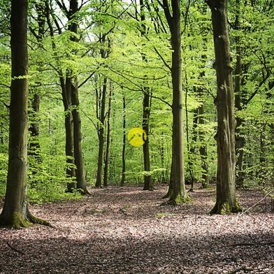 Maison 1 pièces 107000 €