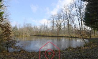Terrain  129230 m² à vendre à Nouan-le-Fuzelier (41600)