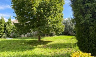 Photo N° 6