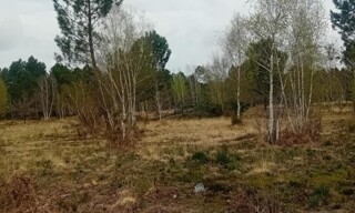 Terrain  600 m² à vendre à Le Teich (33470)