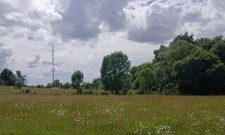 Terrain  1000 m² à vendre à Bordeaux (33000)