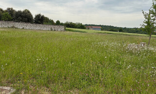 Photo N° 3