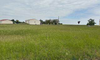 Photo N° 4