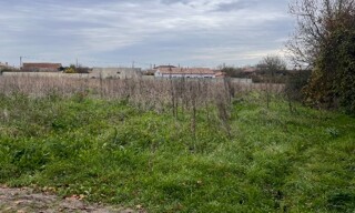 Photo N° 4