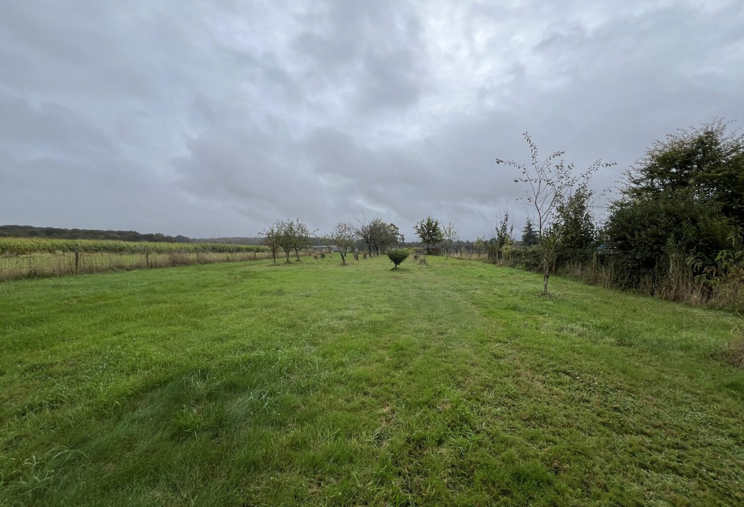 TERRAIN PLAT — photo 1