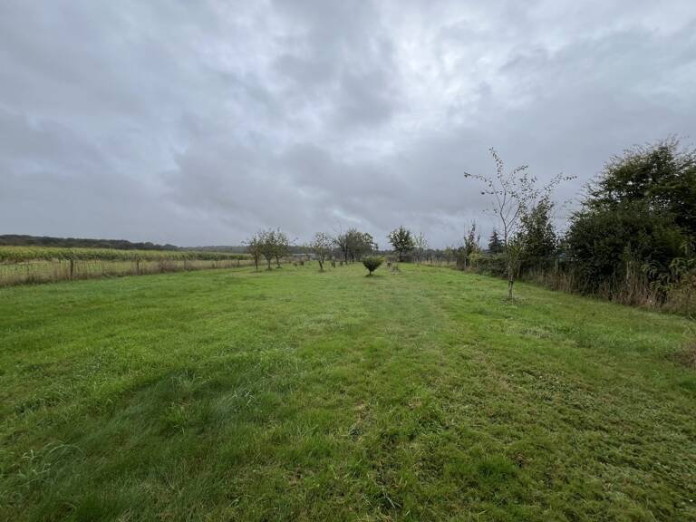 TERRAIN PLAT — photo 1