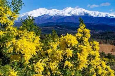 Maison 6 pièces 680000 €