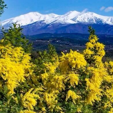 Maison 6 pièces 680000 €