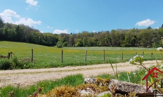 Photo N° 4