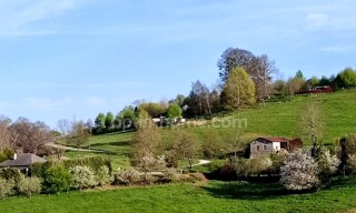Photo N° 5
