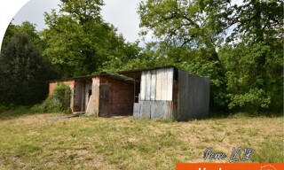 Photo N° 4