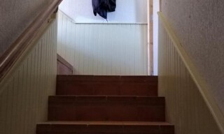 Photo N° 5