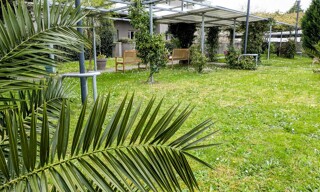 Photo N° 6