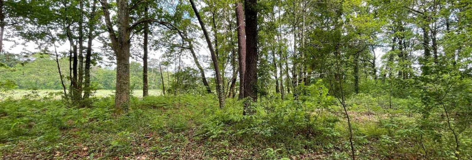 Terrain  3303 m² à vendre à Saint-Geours-de-Maremne (40230)